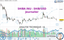 SHIBA INU - SHIB/USD - Journalier