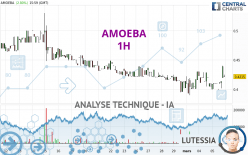 AMOEBA - 1H