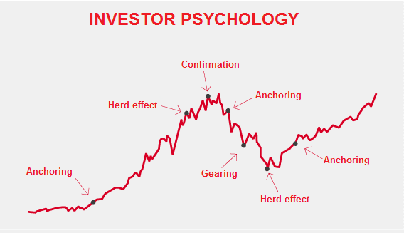 Behavioural finance investor psychology