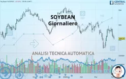 SOYBEAN - Daily