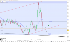 SOYBEAN MEAL FULL1224 - Journalier