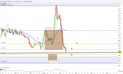 SOYBEAN MEAL FULL1224 - Journalier