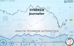 SYNERGIE - Journalier