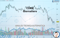 CORN - Dagelijks