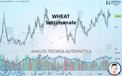 WHEAT - Settimanale