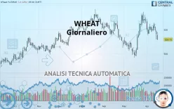 WHEAT - Giornaliero