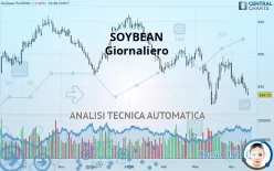 SOYBEAN - Daily