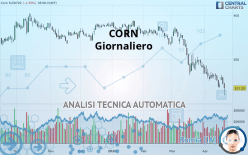 CORN - Dagelijks