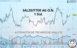 SALZGITTER AG O.N. - 1 Std.