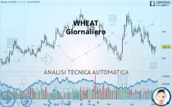 WHEAT - Giornaliero