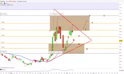 TME PHARMA - Dagelijks