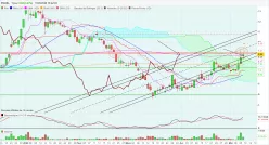 POXEL - Daily