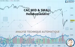 CAC MID &amp; SMALL - Settimanale