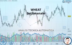 WHEAT - Settimanale