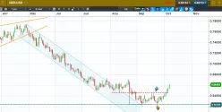 NZD/USD - Täglich