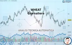 WHEAT - Giornaliero