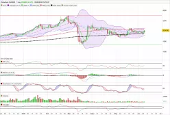 PALLADIUM - Daily