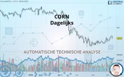 CORN - Dagelijks