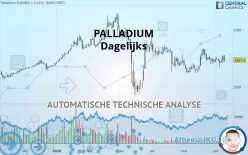 PALLADIUM - Dagelijks