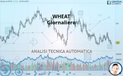 WHEAT - Giornaliero