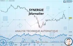 SYNERGIE - Journalier