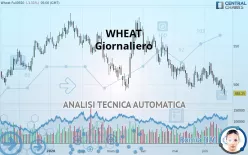 WHEAT - Giornaliero