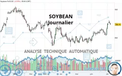 SOYBEAN - Daily