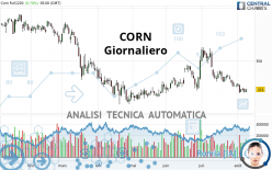 CORN - Journalier