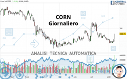 CORN - Journalier