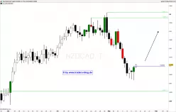 NZD/CAD - Diario