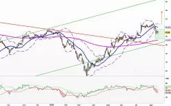 HERBALIFE LTD. - Diario