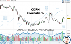 CORN - Journalier