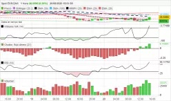 EUR/ZAR - 1 Std.