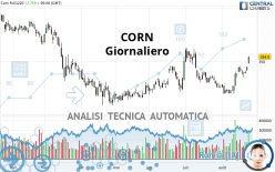 CORN - Journalier