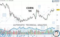 CORN - 1H