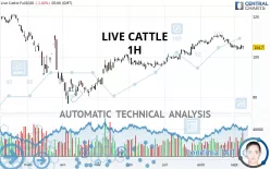 LIVE CATTLE - 1H