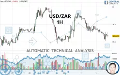 USD/ZAR - 1 Std.