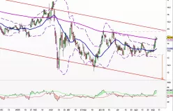 CARREFOUR - Diario