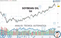 SOYBEAN OIL - 1H