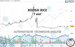 ROUGH RICE - 1 uur