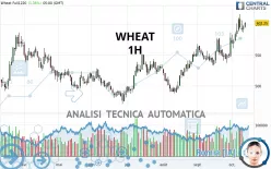 WHEAT - 1H