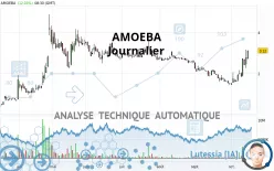 AMOEBA - Journalier