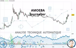 AMOEBA - Daily