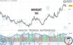 WHEAT - 1H