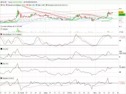 NEOLIFE - Diario