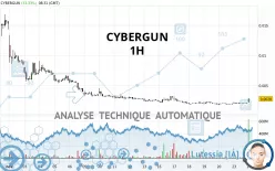 CYBERGUN - 1H