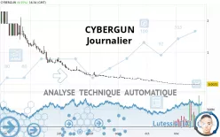 CYBERGUN - Journalier