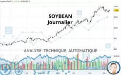 SOYBEAN - Journalier