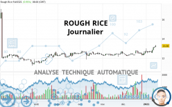 ROUGH RICE - Journalier