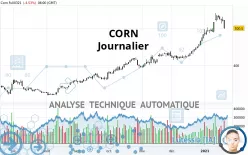 CORN - Journalier